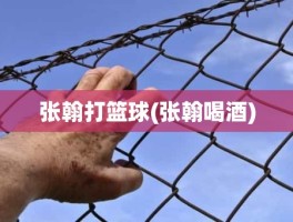 张翰打篮球(张翰喝酒)