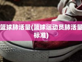 篮球肺活量(篮球运动员肺活量标准)