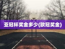 亚冠杯奖金多少(欧冠奖金)