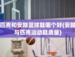 匹克和安踏篮球鞋哪个好(安踏与匹克运动鞋质量)