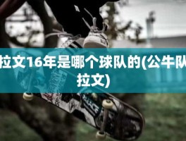 拉文16年是哪个球队的(公牛队拉文)