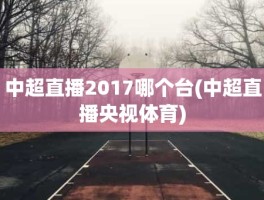 中超直播2017哪个台(中超直播央视体育)