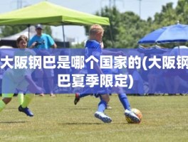 大阪钢巴是哪个国家的(大阪钢巴夏季限定)