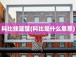 科比挂篮筐(科比是什么意思)