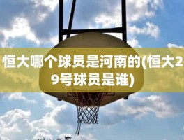 恒大哪个球员是河南的(恒大29号球员是谁)