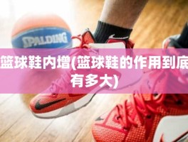 篮球鞋内增(篮球鞋的作用到底有多大)