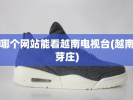 哪个网站能看越南电视台(越南芽庄)