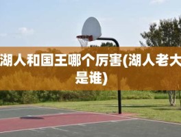 湖人和国王哪个厉害(湖人老大是谁)