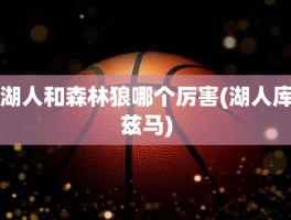 湖人和森林狼哪个厉害(湖人库兹马)