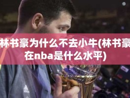 林书豪为什么不去小牛(林书豪在nba是什么水平)