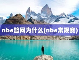 nba篮网为什么(nba常规赛)
