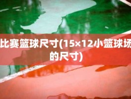 比赛篮球尺寸(15×12小篮球场的尺寸)