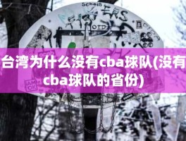 台湾为什么没有cba球队(没有cba球队的省份)