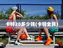 卡特20多少钱(卡特全民)