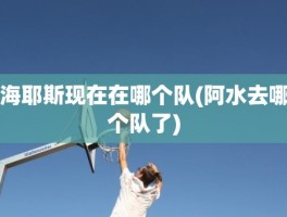 海耶斯现在在哪个队(阿水去哪个队了)