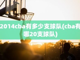 2014cba有多少支球队(cba有哪20支球队)