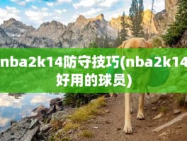 nba2k14防守技巧(nba2k14好用的球员)