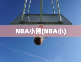 NBA小臂(NBA小)