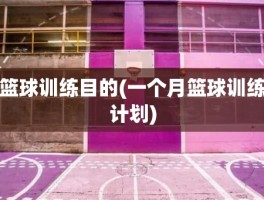 篮球训练目的(一个月篮球训练计划)