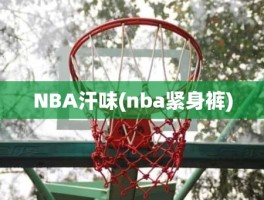 NBA汗味(nba紧身裤)
