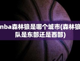 nba森林狼是哪个城市(森林狼队是东部还是西部)