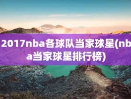 2017nba各球队当家球星(nba当家球星排行榜)