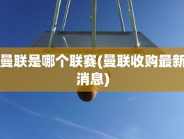 曼联是哪个联赛(曼联收购最新消息)
