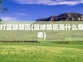打篮球禁区(篮球禁区是什么意思)
