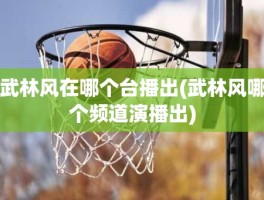 武林风在哪个台播出(武林风哪个频道演播出)