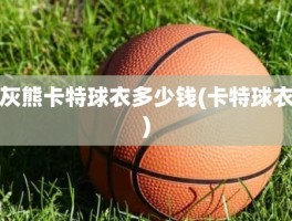 灰熊卡特球衣多少钱(卡特球衣)