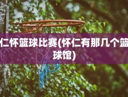 仁怀篮球比赛(怀仁有那几个篮球馆)