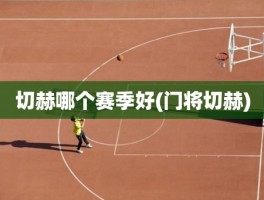 切赫哪个赛季好(门将切赫)
