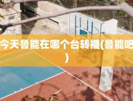 今天鲁能在哪个台转播(鲁能吧)