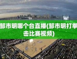 邹市明哪个台直播(邹市明打拳击比赛视频)