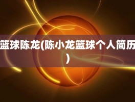 篮球陈龙(陈小龙篮球个人简历)