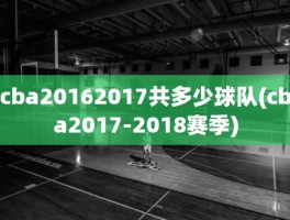 cba20162017共多少球队(cba2017-2018赛季)