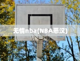 无情nba(NBA恶汉)