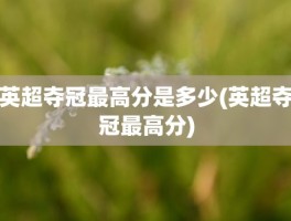 英超夺冠最高分是多少(英超夺冠最高分)