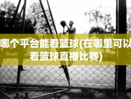 哪个平台能看篮球(在哪里可以看篮球直播比赛)