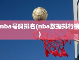 nba号码排名(nba数据排行榜)