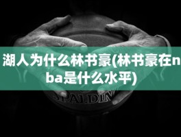 湖人为什么林书豪(林书豪在nba是什么水平)