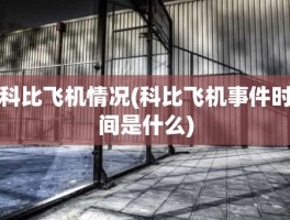 科比飞机情况(科比飞机事件时间是什么)