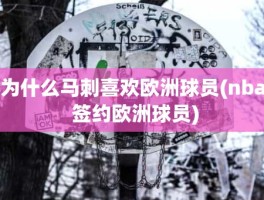 为什么马刺喜欢欧洲球员(nba 签约欧洲球员)