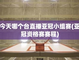 今天哪个台直播亚冠小组赛(亚冠资格赛赛程)