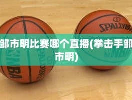 邹市明比赛哪个直播(拳击手邹市明)
