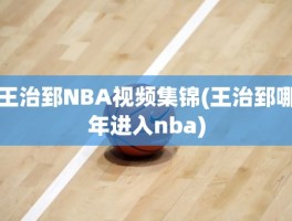 王治郅NBA视频集锦(王治郅哪年进入nba)