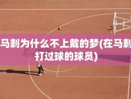 马刺为什么不上戴的梦(在马刺打过球的球员)