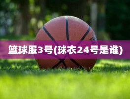 篮球服3号(球衣24号是谁)