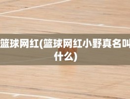 篮球网红(篮球网红小野真名叫什么)