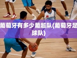 葡萄牙有多少葡超队(葡萄牙足球队)